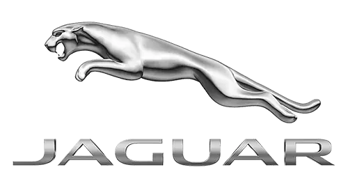 Jaguar.webp